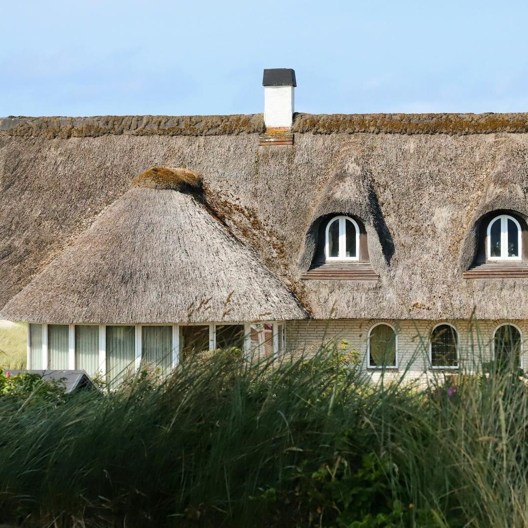 A picturesque thatched roof cottage near the sea, surrounded by dunes and greenery.